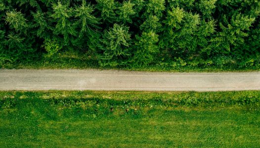 aerial-top-view-of-a-country-road-through-a-fir-fo22